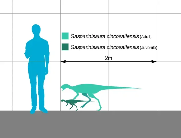 It is suggested that the small-sized dinosaur, the Gasparinisaura, might have possessed feathers!