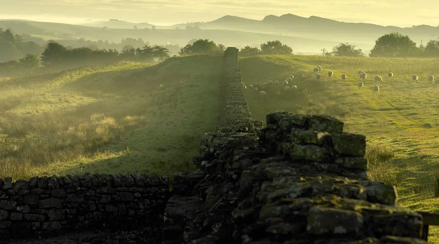 Go on this guided tour of Hadrian's Wall and the sites that defended the Roman Empire. Buy Hadrian's Wall tour tickets today.