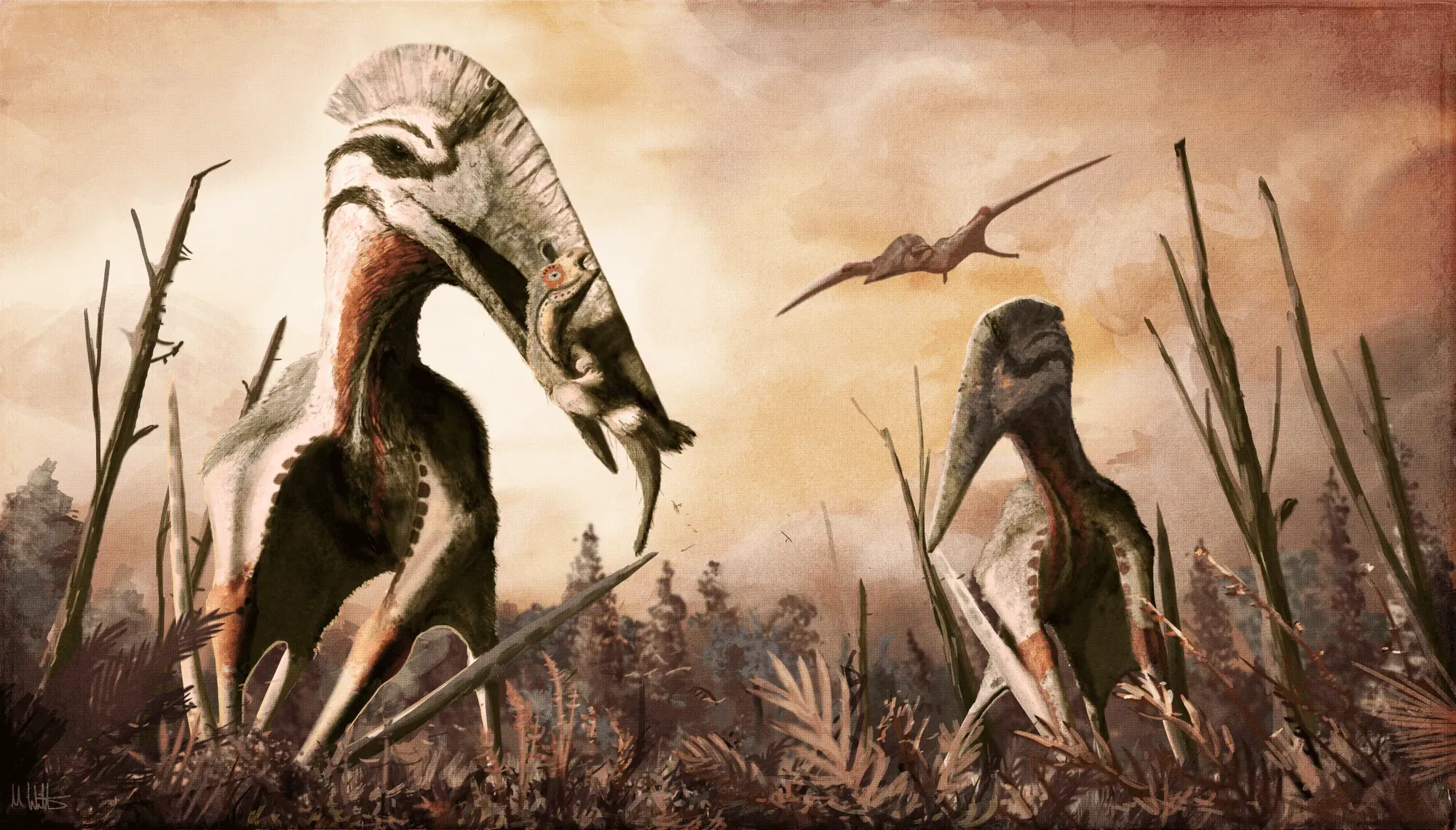 Hatzegopteryx is believed to be one of the largest animals ever known to fly!