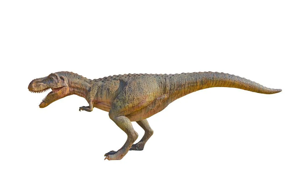 Here are some great Siamotyrannus facts which you are sure to love!