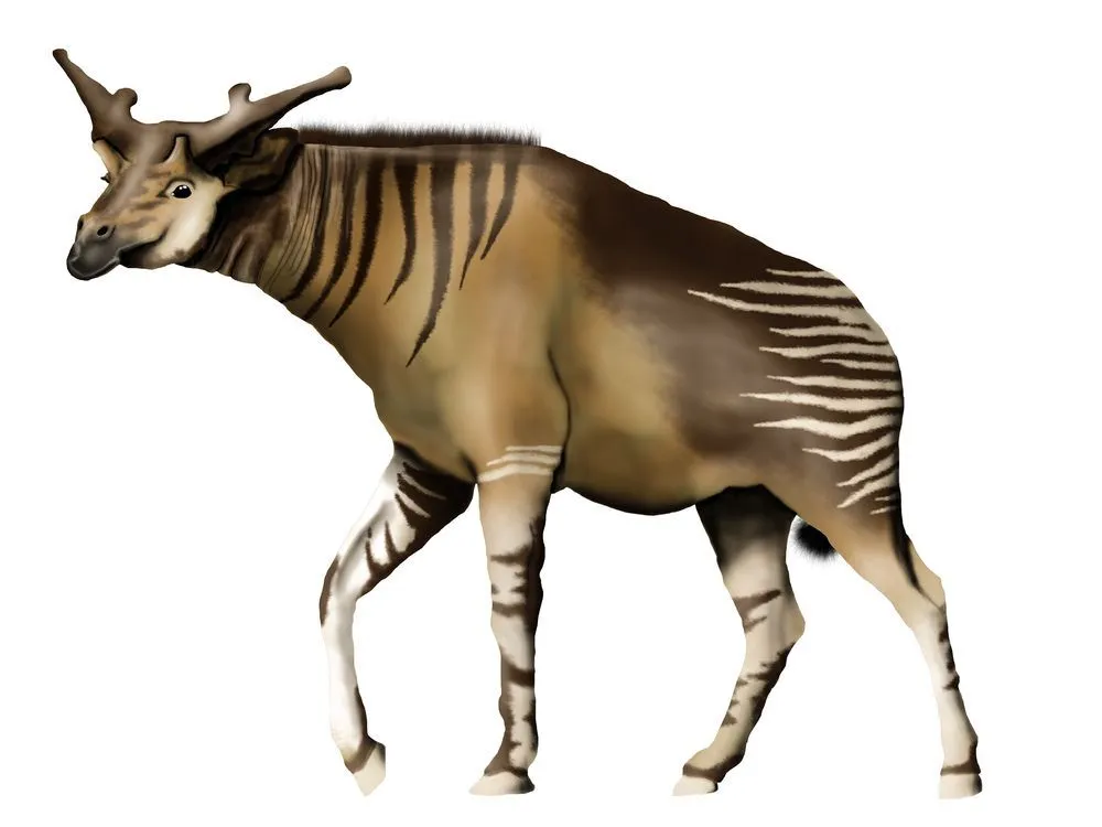 Here are some interesting Sivatherium facts for you to ponder over today!