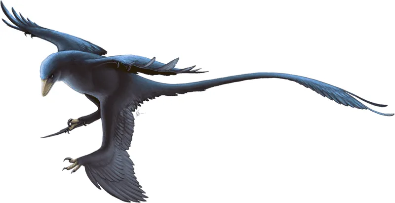 Hesperonychus is the smallest known dinosaur found in North America