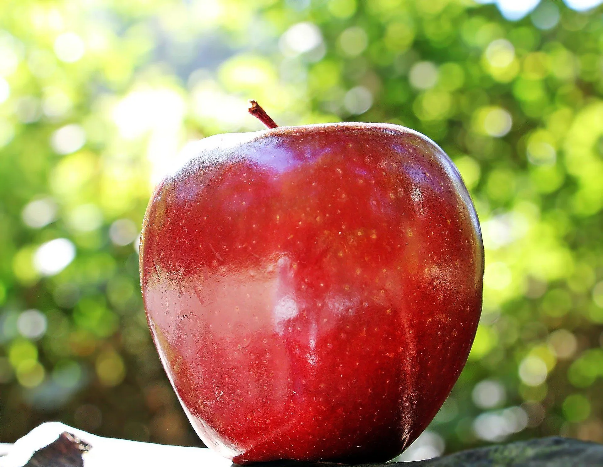 Hokuto Apple carry excellent flavors, courtesy of its crossbred including two leading apple varieties.