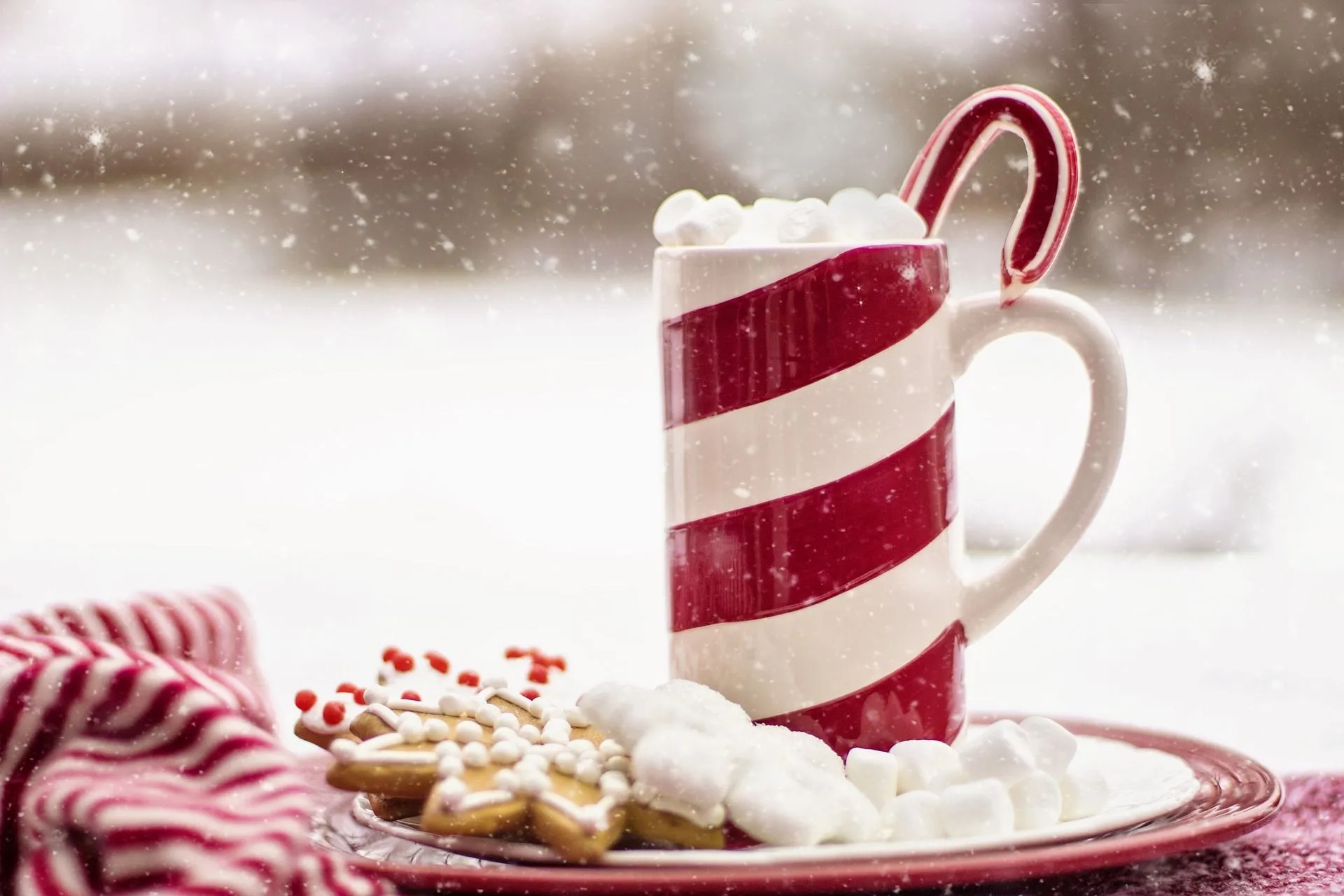 Drink a hot chocolate drink and celebrate with your loved ones!