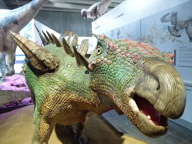 Huayangosaurus had spiny bodies with a green and red coloration.