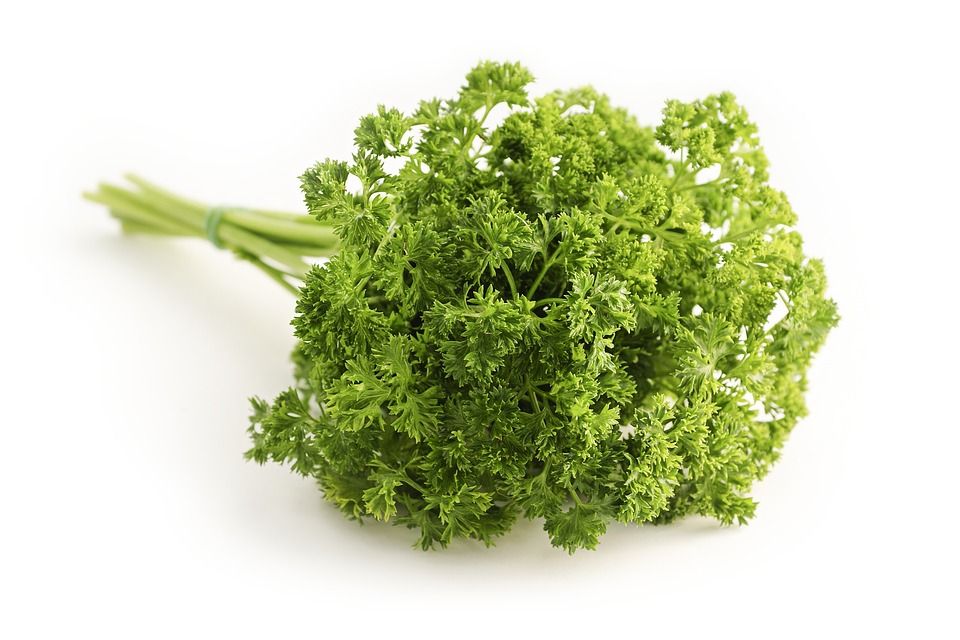 In the market, you may find this fresh herb with two names, curly leaf parsley or flat-leaf parsley.