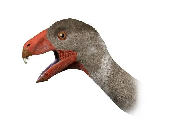 This species had protruding front teeth with feathers all over its body