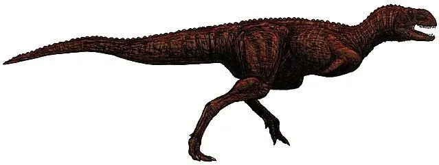 The Indosuchus was a quick, bipedal dinosaur.