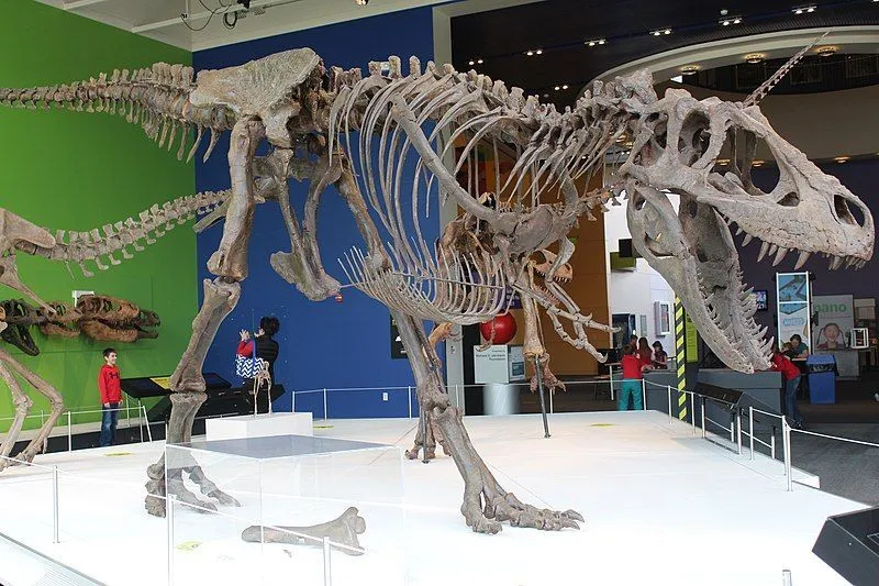 Information and facts about Daspletosaurus are amusing!