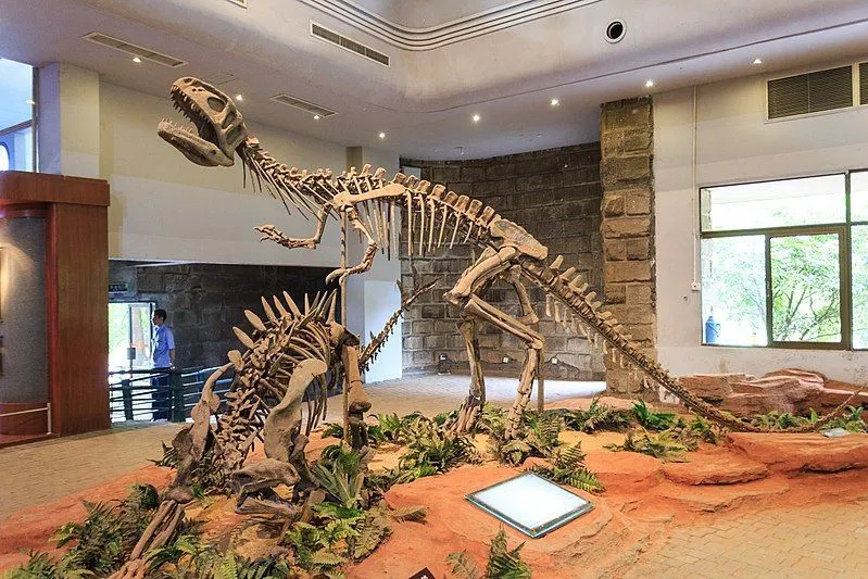 Interesting Szechuanosaurus facts include that they were from the Late Jurassic period.