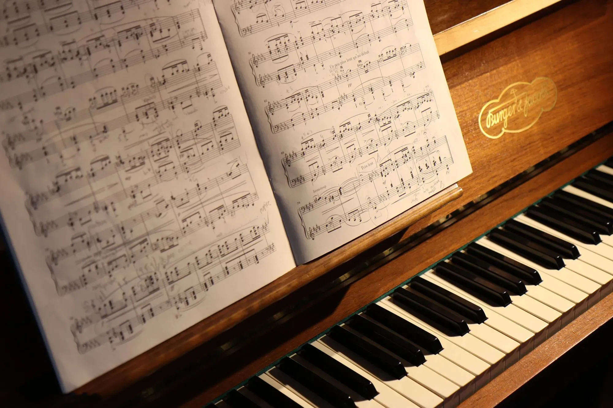 The mellow tone of a piano mesmerizes us, but is a piano a string instrument?
