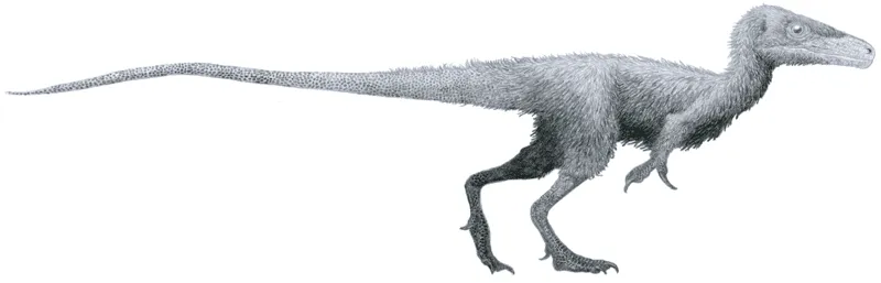 Juravenator starki was described by Göhlich and Chiappe and it lived during the Late Jurassic era.