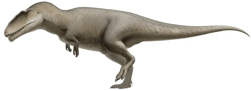 Kelmayisaurus facts including the species habitat, classification, and communication.