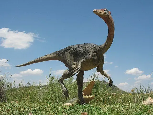 Kinnareemimus was an ostrich dinosaur with long, slender legs.