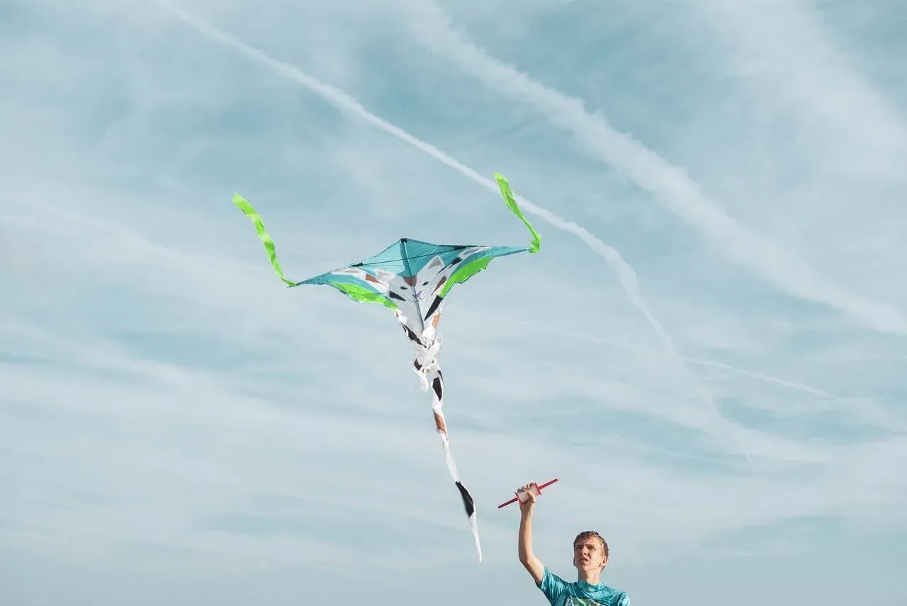 Flying kites has always been close to a kid's heart.