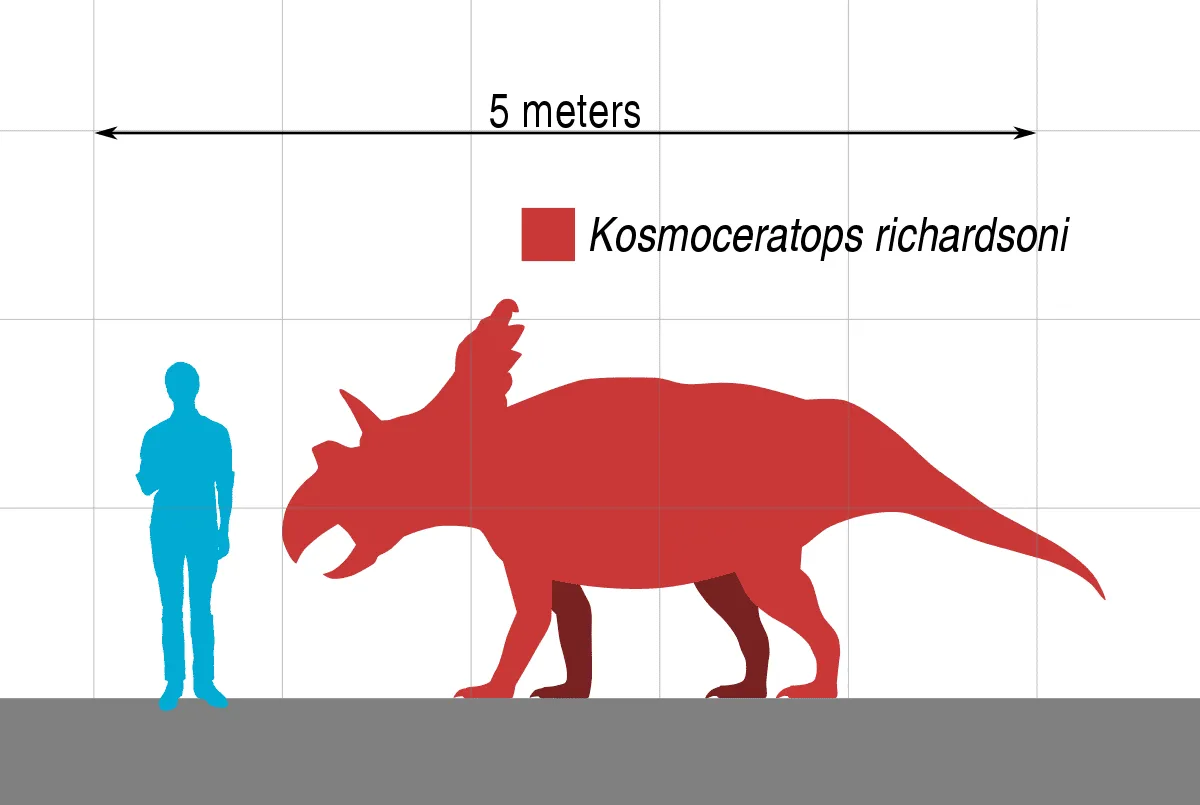 The head of this Triceratops was very large, while their tail was very short.