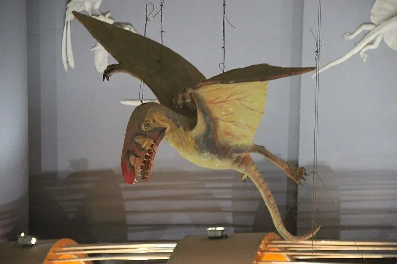 Kunpengopterus facts are liked by children who want to learn about a pterosaur.