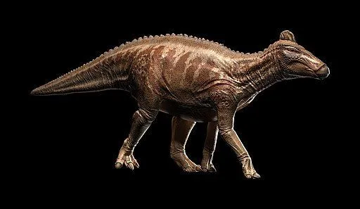 Laosaurus were Neornithischia or new Ornithischian dinosaurs and is described as dubious.