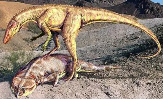 Laquintasaurus dinosaurs used their two hind legs to locomote.