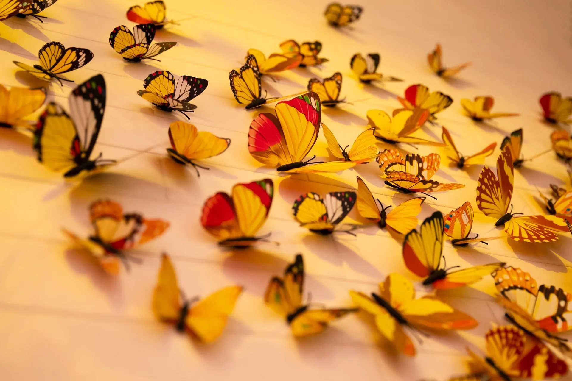 Do all butterflies have antennae? Find out here at Kidadl.
