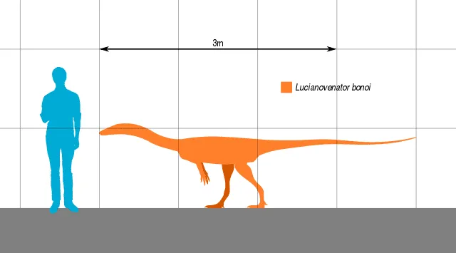 Lot of data about this dinosaur has been inferred from its cervical and dorsal vertebrae.