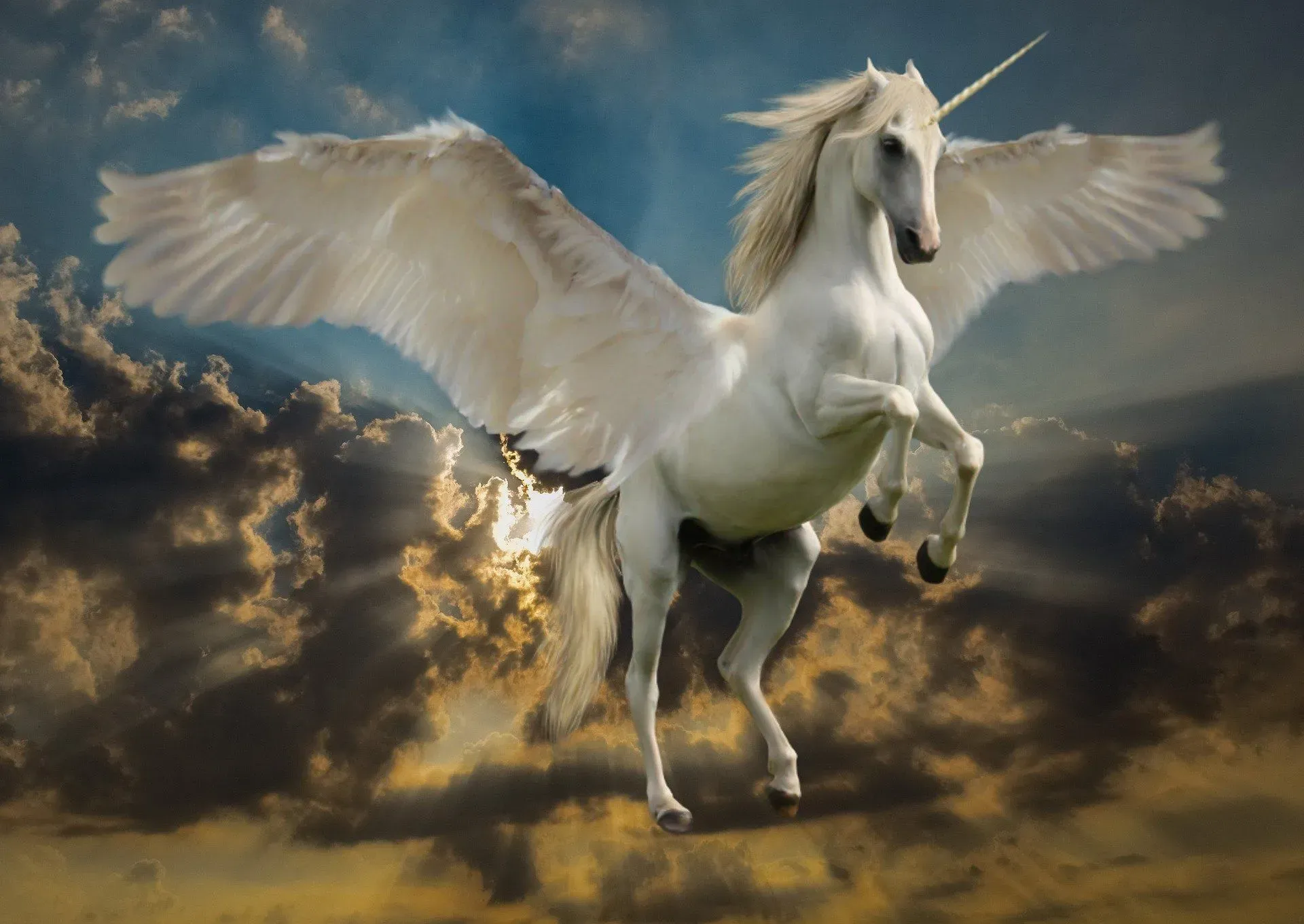 Unicorns, like dragons and mermaids, are among the most well-known legendary creatures in the world, so check out these unicorn facts!
