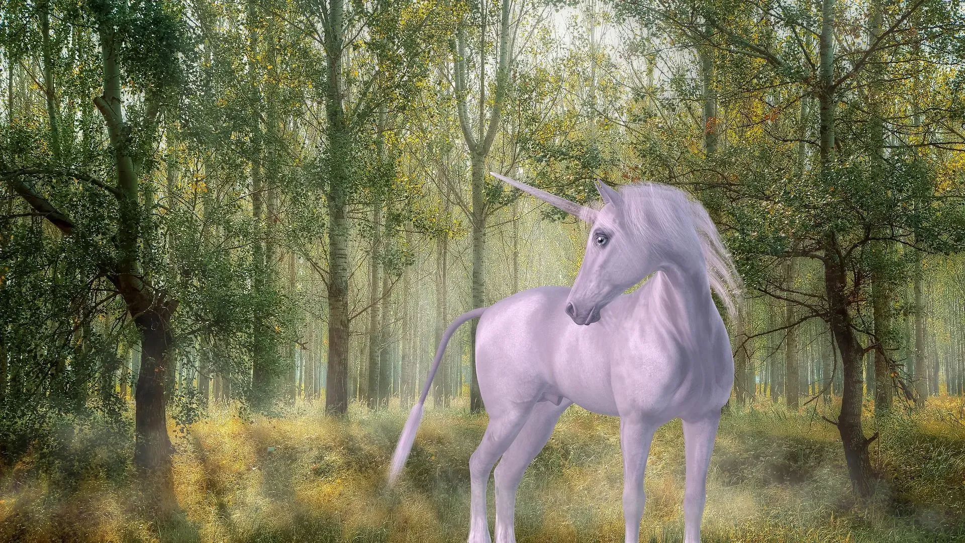 The unicorn was shown in ancient Mesopotamian art and was also mentioned in Indian and Chinese mythology.