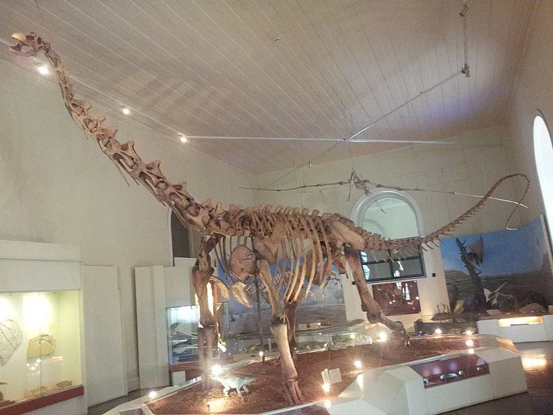 Maxakalisaurus was a very large dinosaur that was discovered in Brazil.