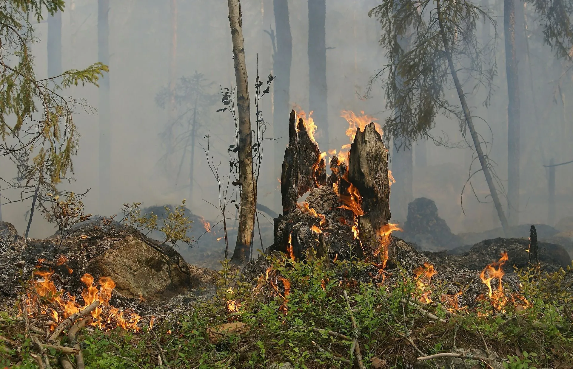 Muck fires can turn into forest fires when left uncontrolled.