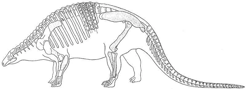 Niobrarasaurus was named by Carpenter et. al. in 1995.