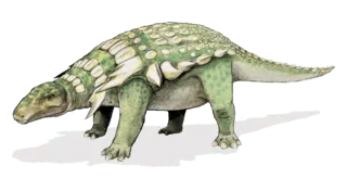 The stomach contents of the nodosaur indicate that the main part of its diet was ferns.
