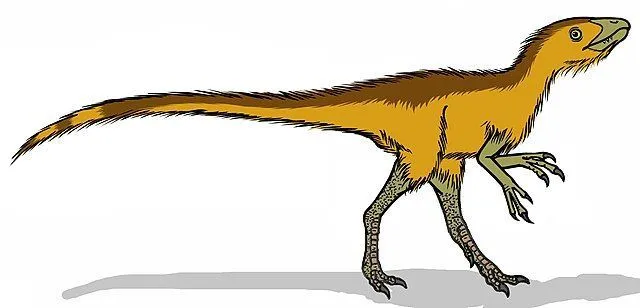 The Nqwebasaurus dinosaur facts like it was a small, feathered dinosaur that walked on two legs are interesting.