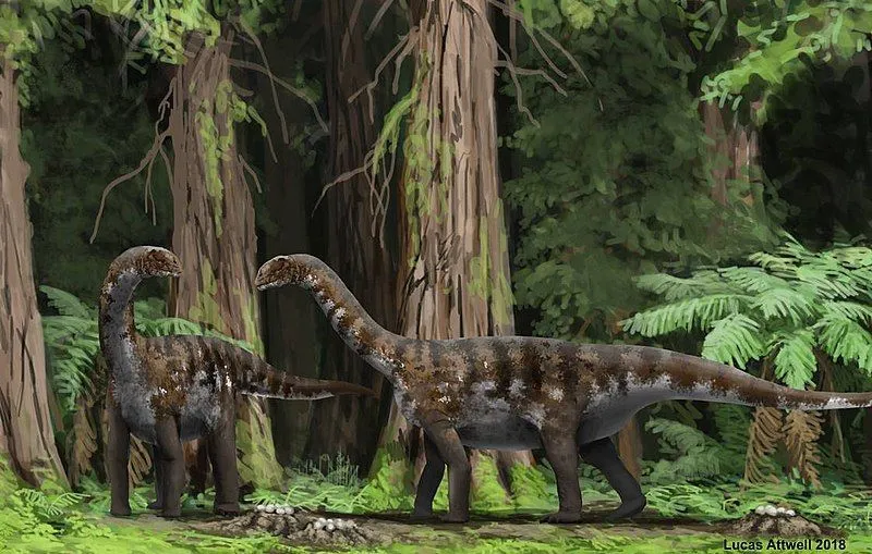 Ohmdenosaurus facts are interesting.