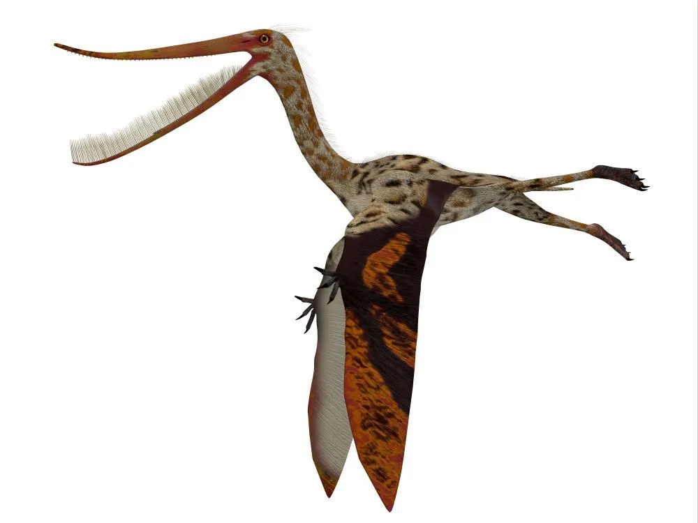 One of the interesting Pterodaustro facts is that they had a piscivorous diet.