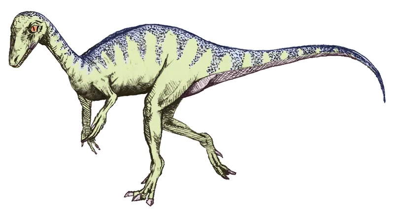 Panphagia dinosaurs were probably evolving from being a carnivore to herbivore.