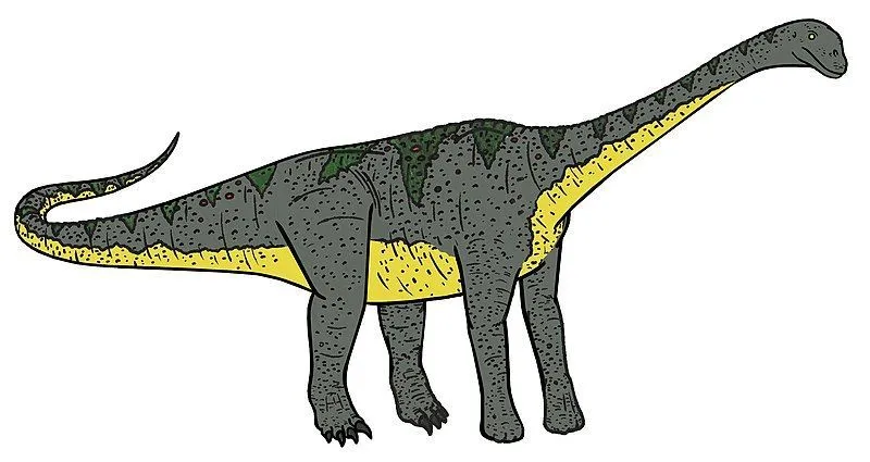 Paralititan dinosaur facts and description include that they have an herbivore diet.