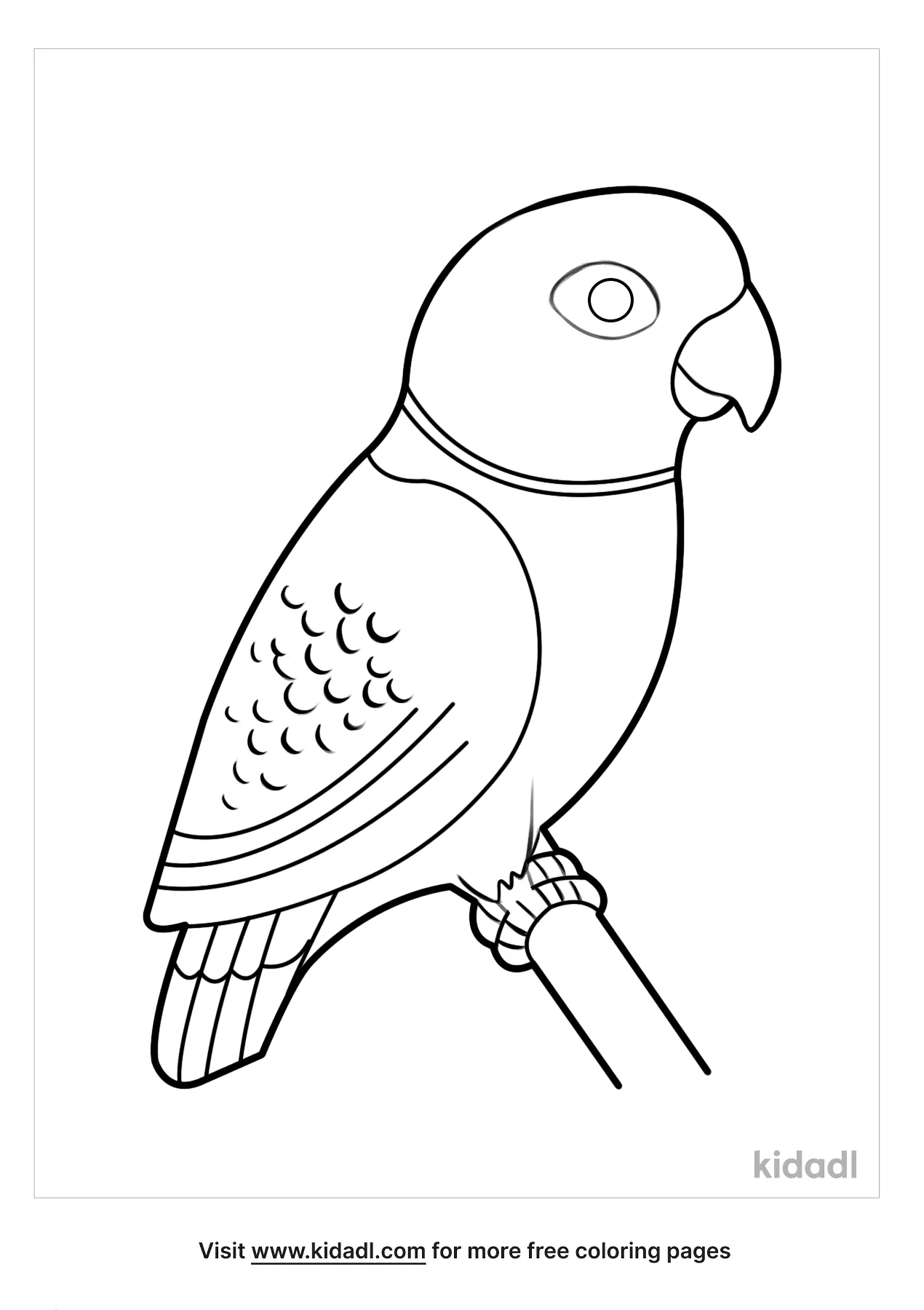 green parrot coloring pages