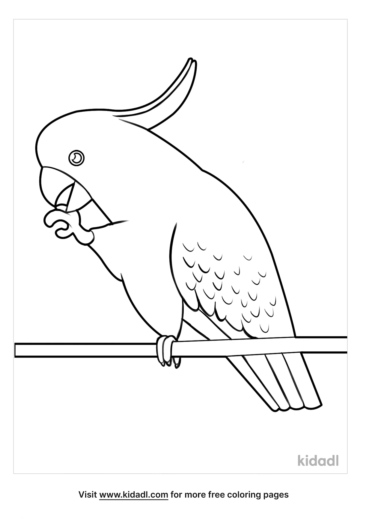 Parrot Coloring Pages   Free Birds Coloring Pages   Kidadl