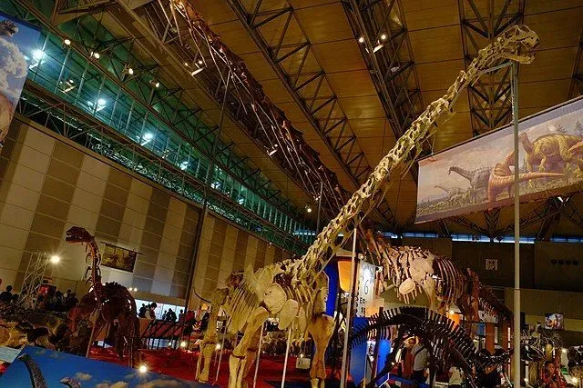 Phuwiangosaurus was a giant sauropod with a long neck and tail.
