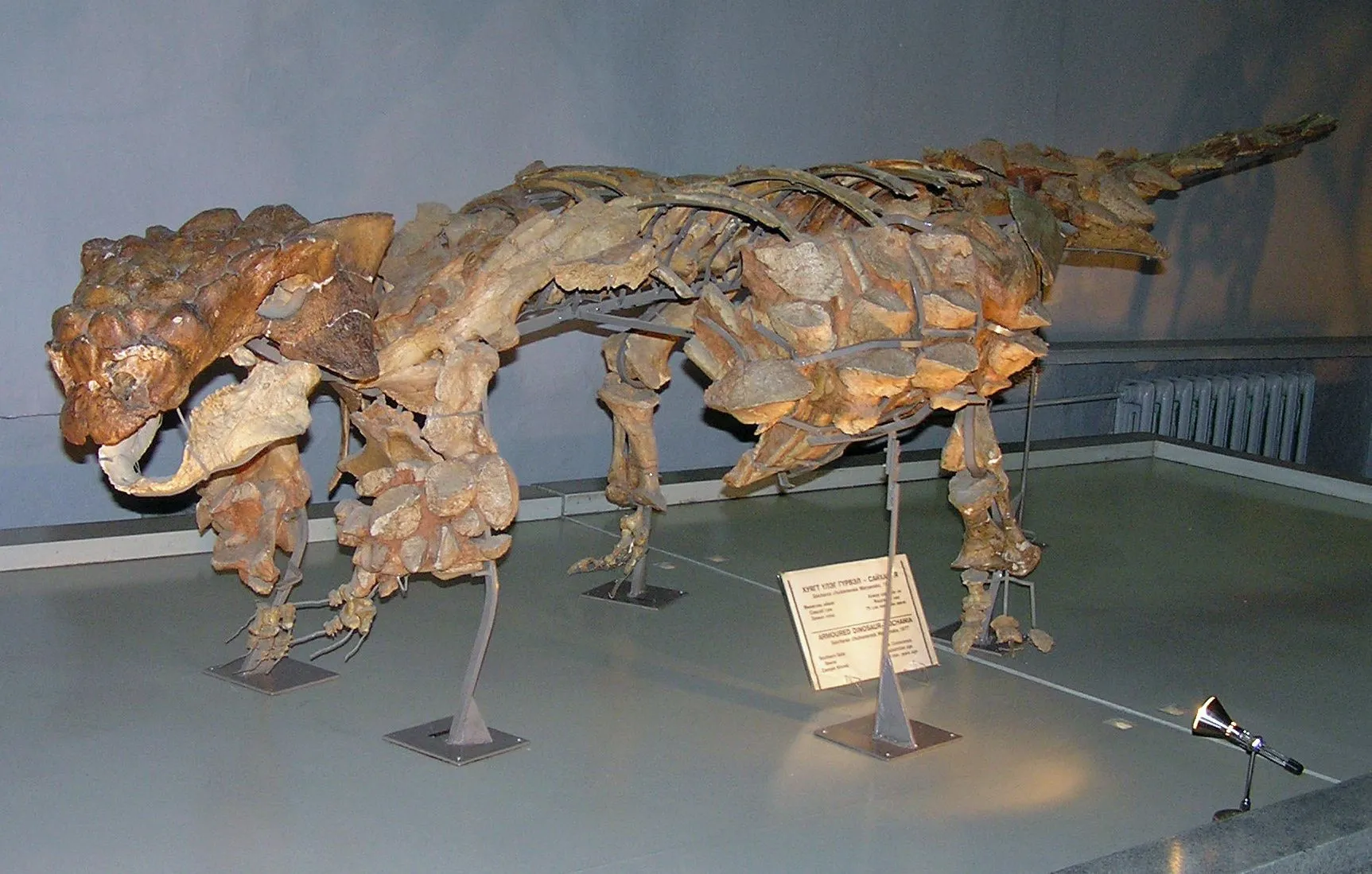 Facts and information about Pinacosaurus are amusing!