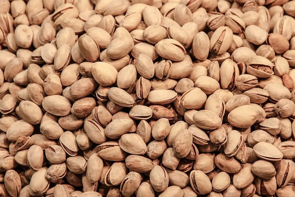 Pistachios are excellent sources of protein, fiber, and antioxidants but are low in calories, making them unique among other nuts