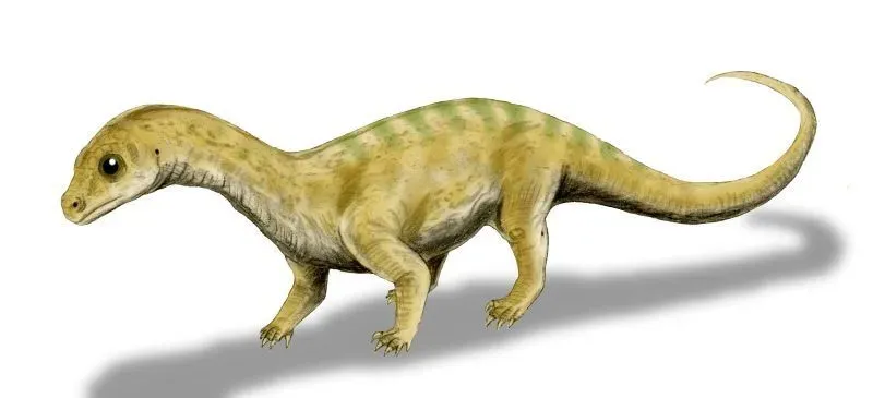 Pradhania is one of the few dinosaurs whose remains were discovered in India.