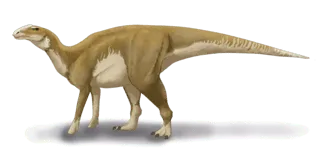 Protohadros facts are all about a herbivorous dinosaur of the Late Cretaceous period.