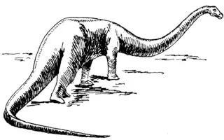 The Qijianglong had a long neck and a short head.