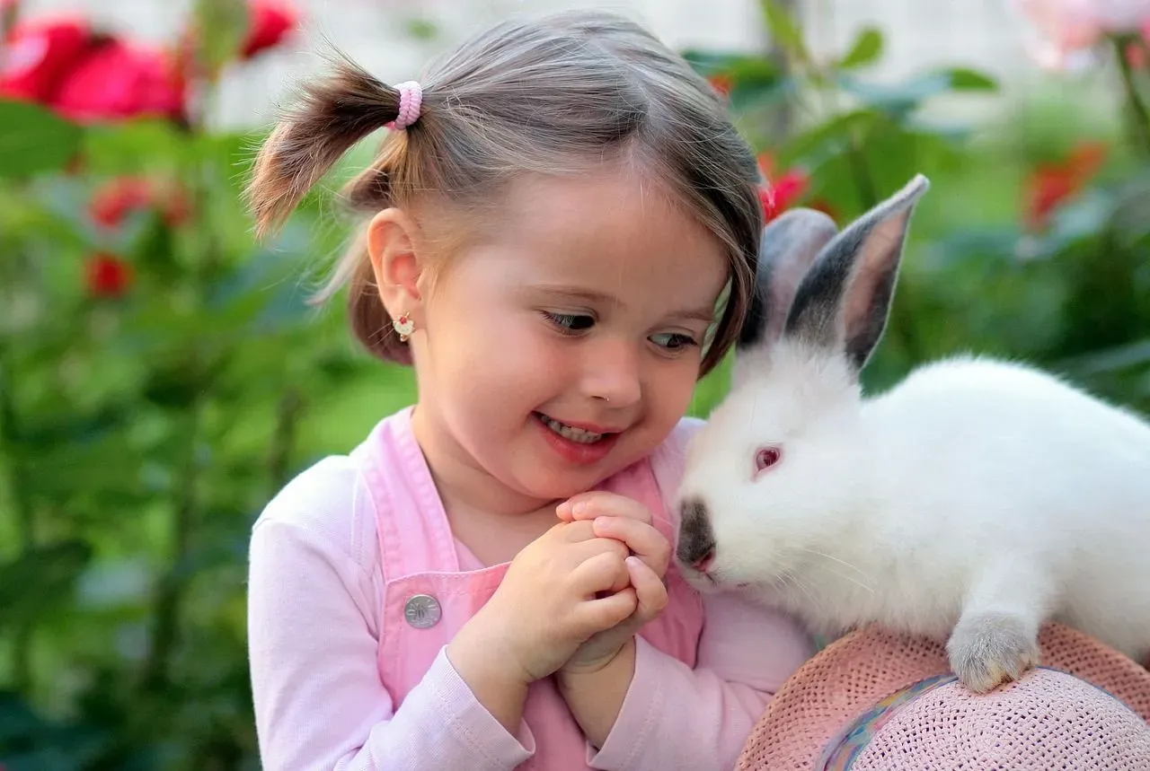 Rabbits get easily scared by unfamiliar faces. Learn how to pick up a rabbit before you actually try.