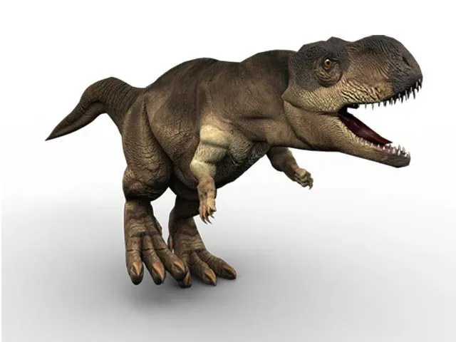 The Rajasaurus had a strange head crest rarely found in carnivores.