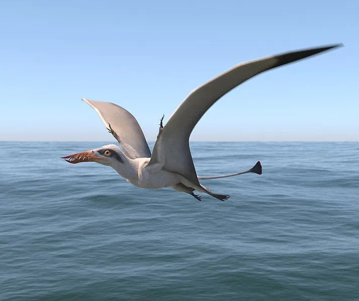 Read about Nemicolopterus facts to learn about the discovery of a rare flying reptile from the Early Cretaceous period.