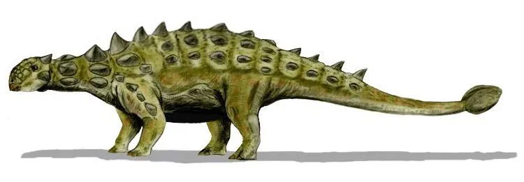 Read more fun Dyoplosaurus facts here.