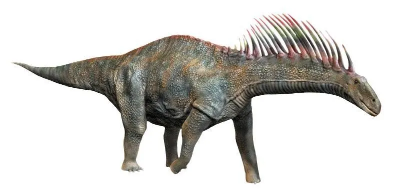 Read these Amargasaurus facts to know about sauropods with bony spines parallel rows on neck vertebrae.