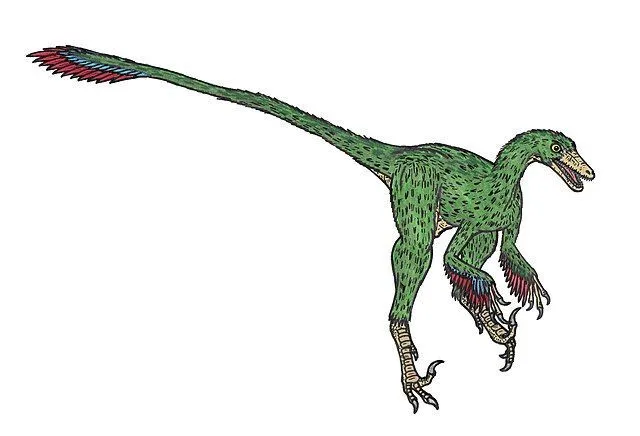 The jaw of the Saurornithoides consists of many closely spaced teeth.